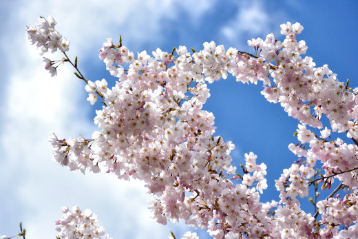 931567 (a): :2400x1600
